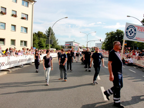 Hofer Volksfest 2016  Festzug Teil 3 29.7.16  – Foto 26