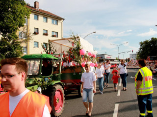 Foto 175718 im Album