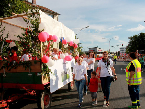 Hofer Volksfest 2016  Festzug Teil 3 29.7.16  – Foto 33