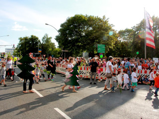 Foto 175735 im Album