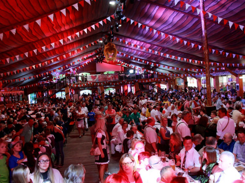 Hofer Volksfest 2016 Tag 1 Freitag Nach dem Umzug  Original Töpener Blasmusik – Foto 24