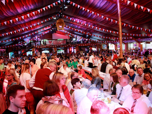 Hofer Volksfest 2016 Tag 1 Freitag Nach dem Umzug  Original Töpener Blasmusik – Foto 28