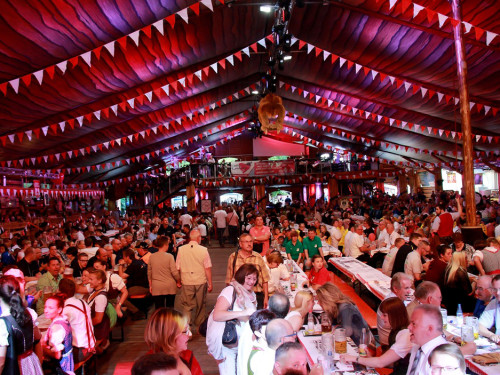 Hofer Volksfest 2016 Tag 1 Freitag Nach dem Umzug  Original Töpener Blasmusik – Foto 32