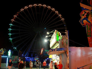 Foto 176256 im Album