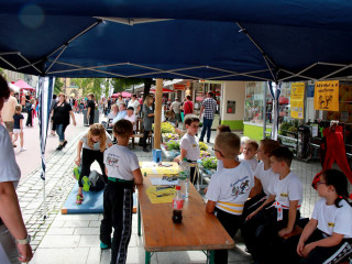 Foto 176345 im Album
