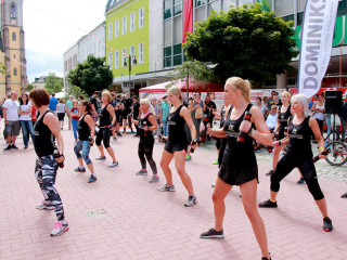 Foto 176389 im Album