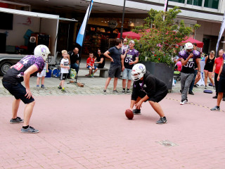 Foto 176476 im Album