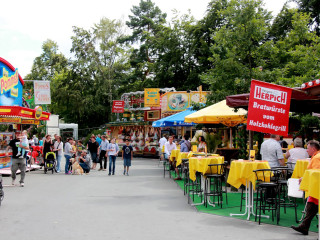 Foto 176529 im Album
