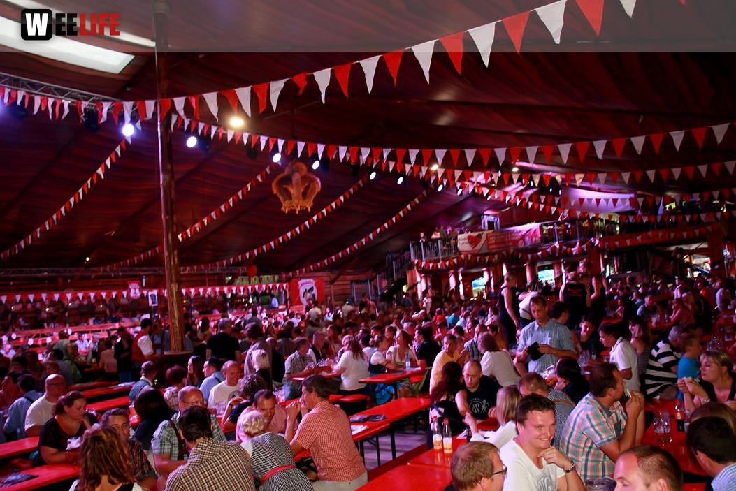 Hofer Volksfest 2016 Tag 2 Samstag Tag der Landjugend  Die Störzelbacher