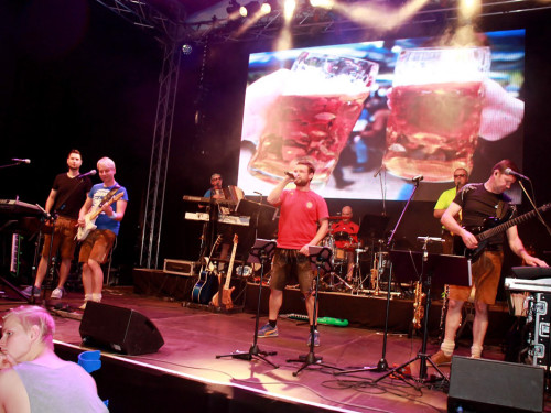 Hofer Volksfest 2016 Tag 2 Samstag Tag der Landjugend  Die Störzelbacher – Foto 20