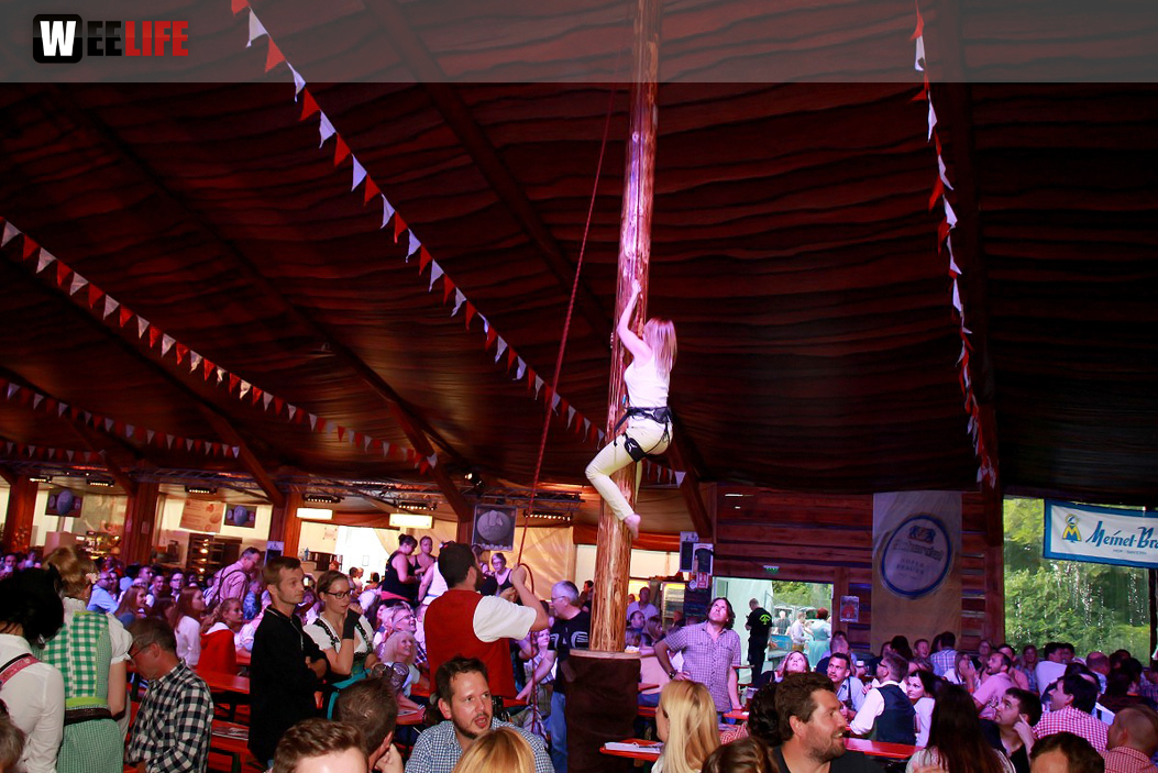 Hofer Volksfest 2016 Tag 2 Samstag Tag der Landjugend  Die Störzelbacher