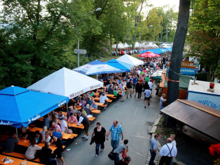 Foto 176676 im Album