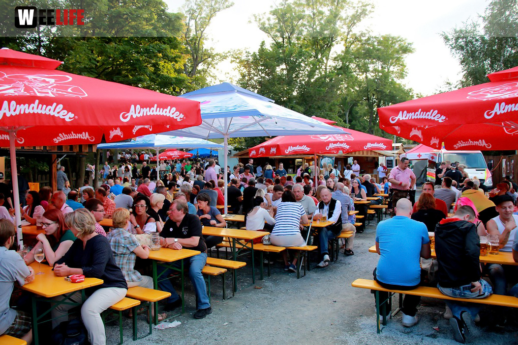 Hofer Volksfest 2016 Tag 2 Samstag Tag der Landjugend  Die Störzelbacher