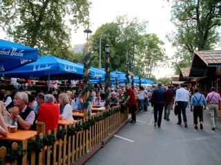 Foto 176685 im Album
