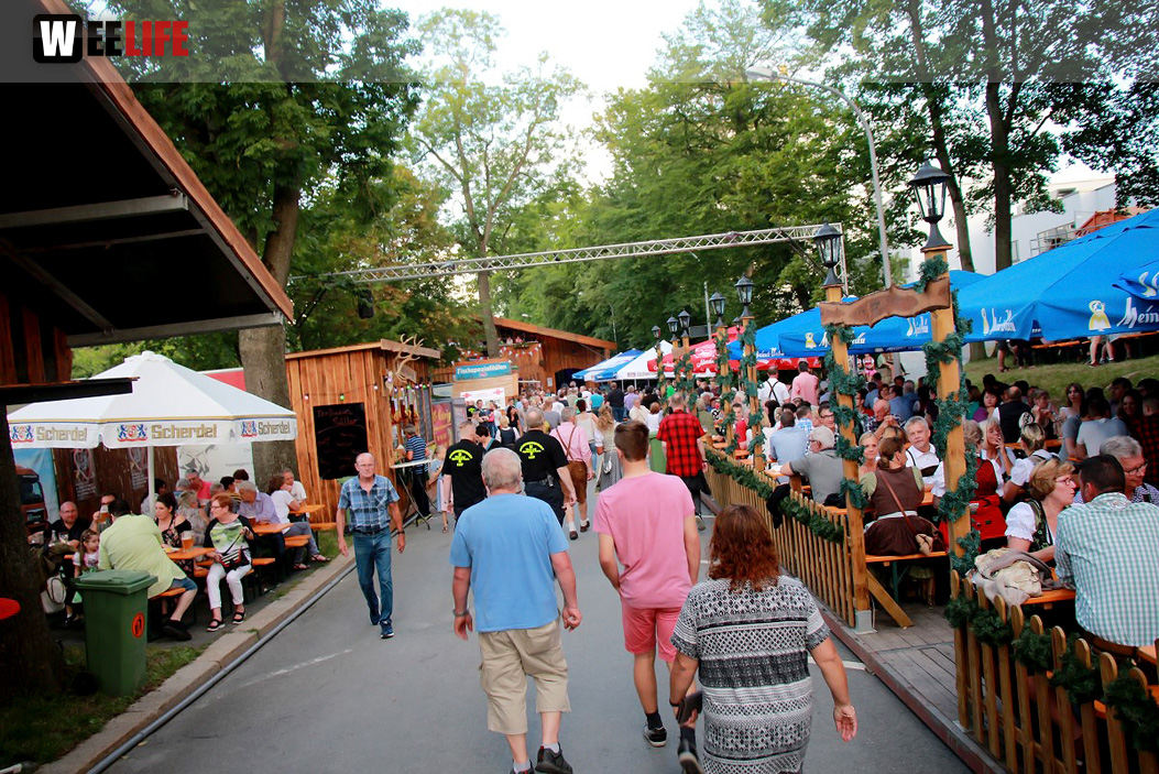 Hofer Volksfest 2016 Tag 2 Samstag Tag der Landjugend  Die Störzelbacher