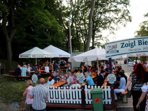 Hofer Volksfest 2016 Tag 2 Samstag Tag der Landjugend  Die Störzelbacher – Foto 52