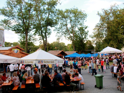 Hofer Volksfest 2016 Tag 2 Samstag Tag der Landjugend  Die Störzelbacher – Foto 54