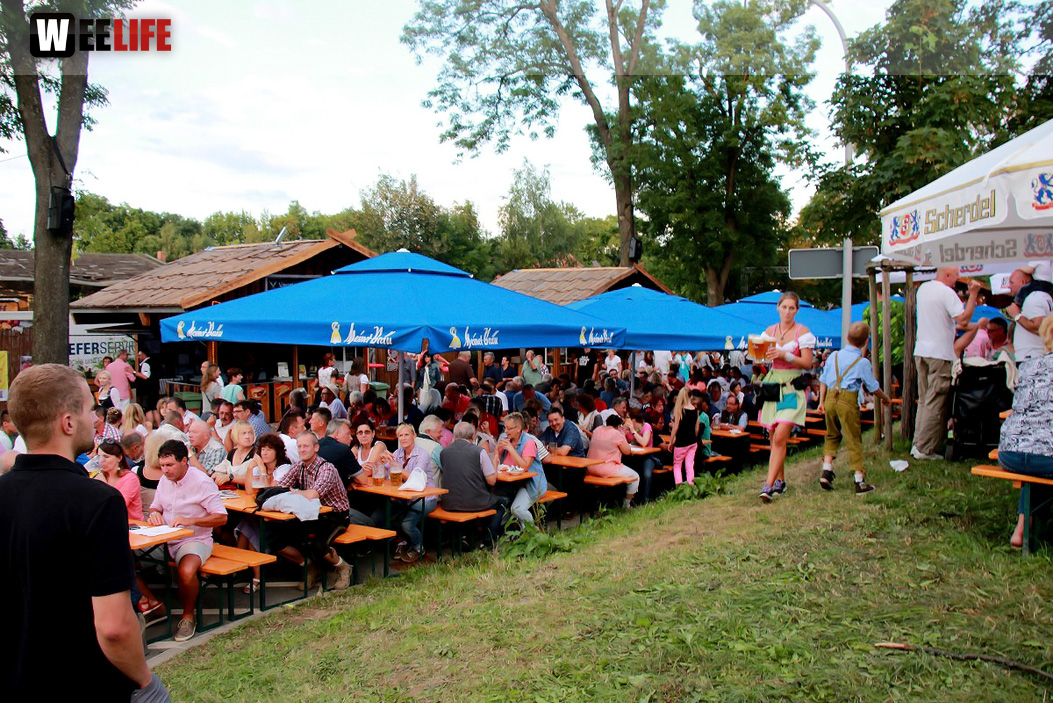 Hofer Volksfest 2016 Tag 2 Samstag Tag der Landjugend  Die Störzelbacher