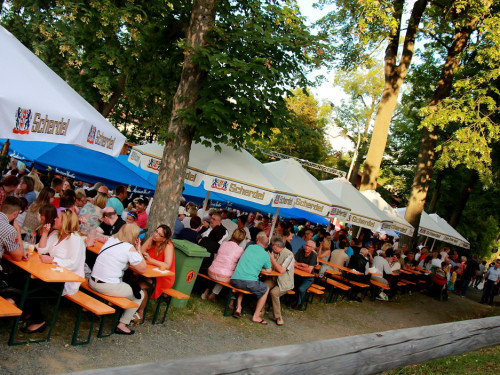 Hofer Volksfest 2016 Tag 2 Samstag Tag der Landjugend  Die Störzelbacher – Foto 58