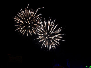 Foto 176886 im Album