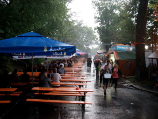 Foto 177342 im Album
