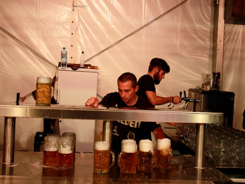 Hofer Volksfest 2016 Tag des Bieres Stieflziacha – Foto 52