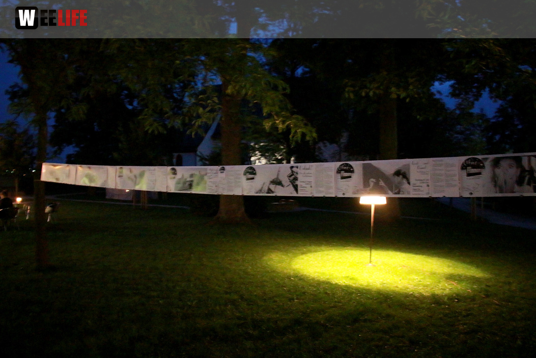 Uferflimmern Sommerkino