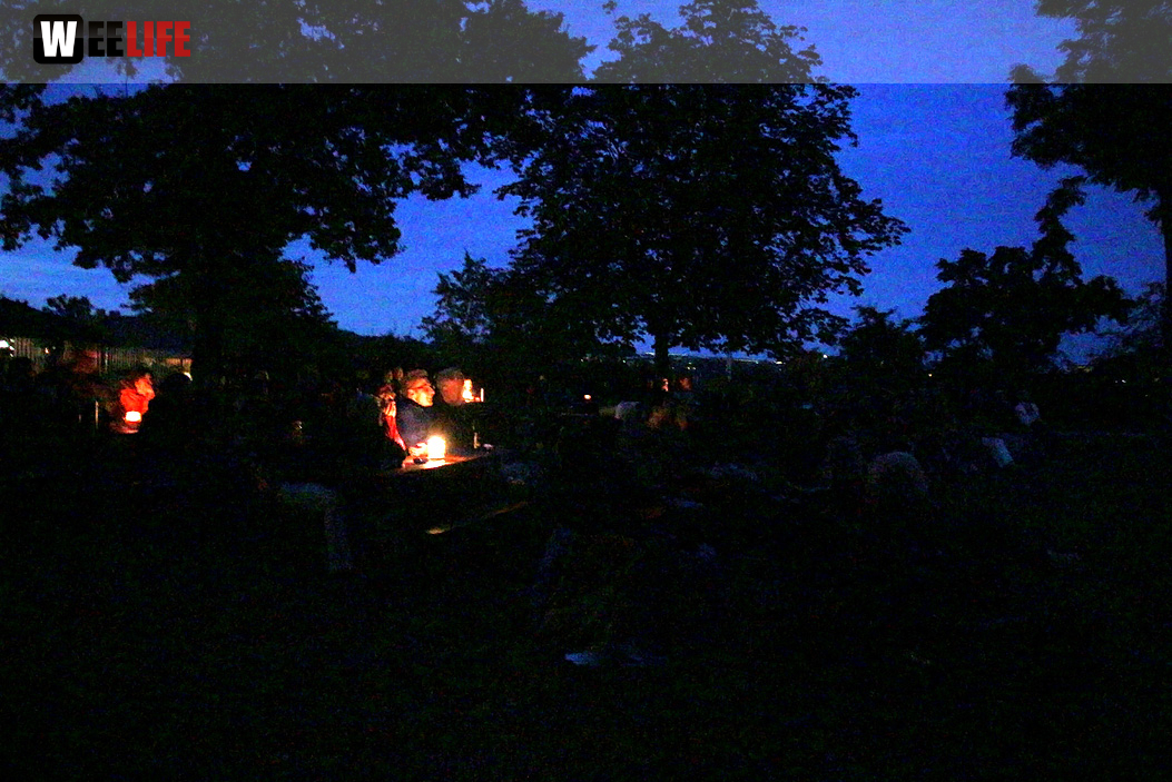 Uferflimmern Sommerkino