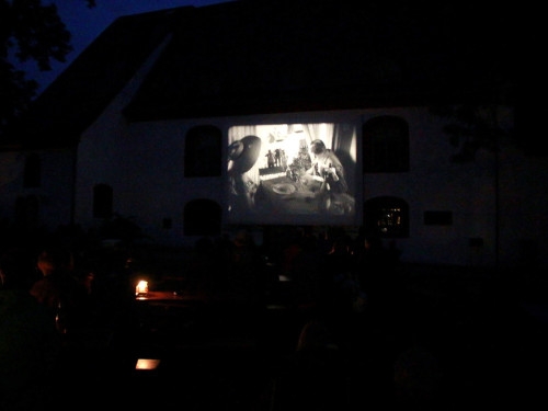 Uferflimmern Sommerkino – Foto 14