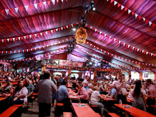 Foto 178761 im Album