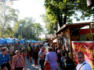 Foto 178771 im Album