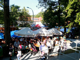 Foto 178793 im Album
