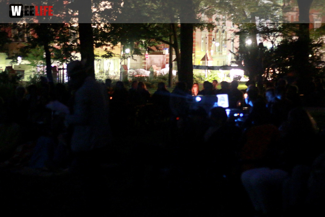Uferflimmern Sommerkino 6.8.16