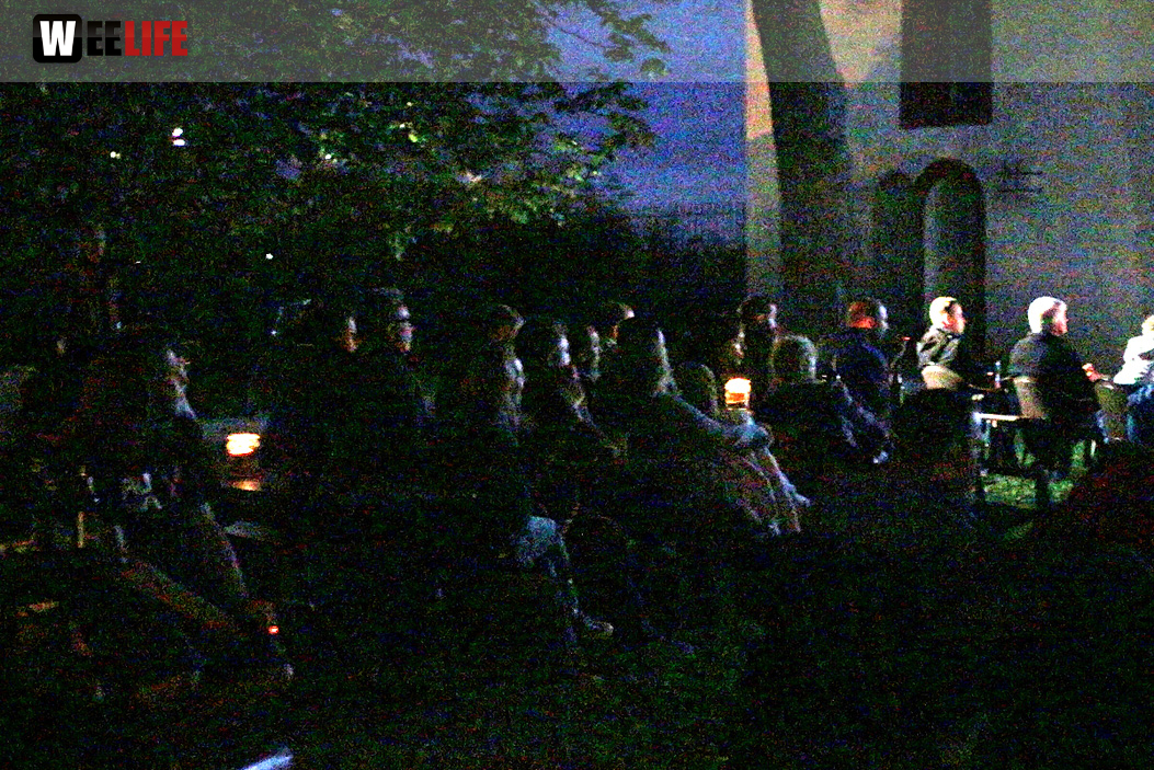 Uferflimmern Sommerkino 6.8.16