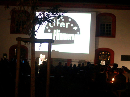 Uferflimmern Sommerkino 6.8.16 – Foto 22