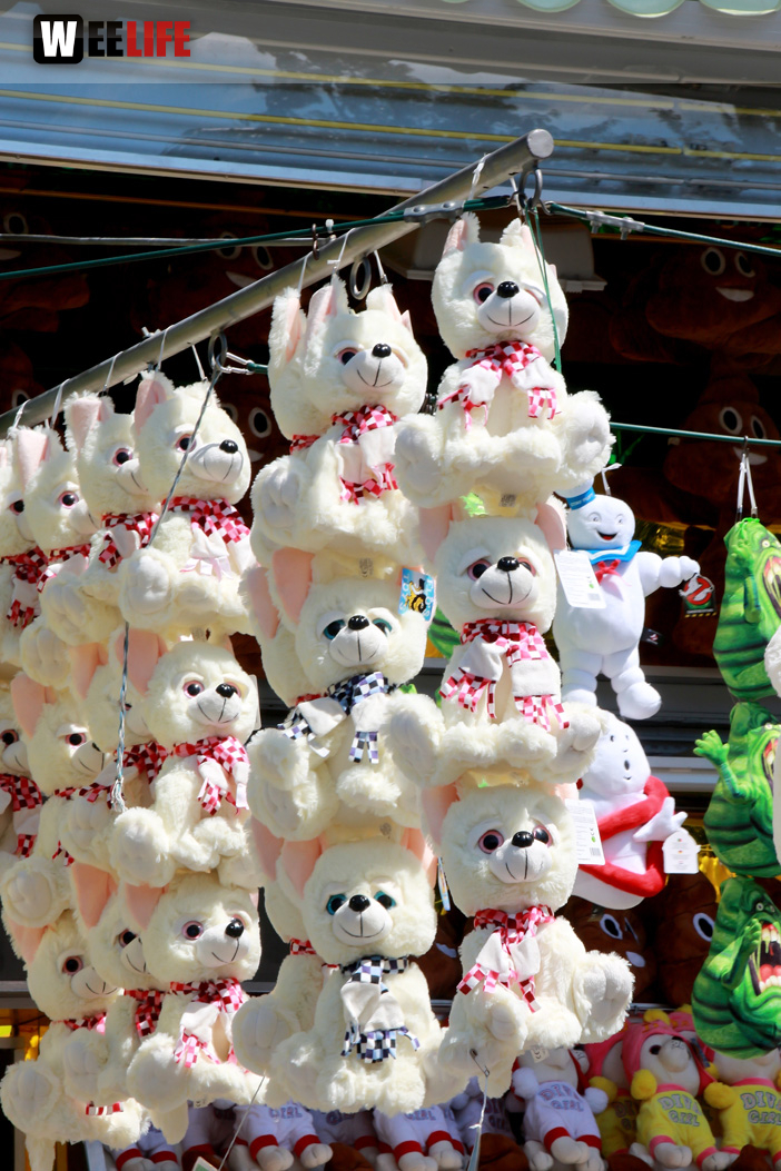 Hofer Volksfest 2016 letzer Tag Frühshoppen
