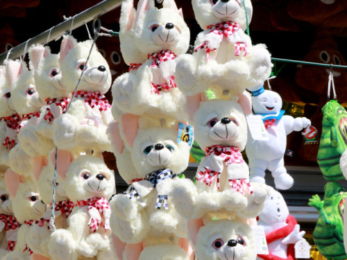 Hofer Volksfest 2016 letzer Tag Frühshoppen – Foto 36