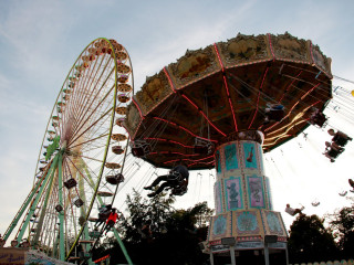 Foto 179207 im Album