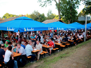 Foto 179228 im Album