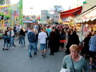 Foto 179236 im Album