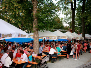 Foto 179266 im Album