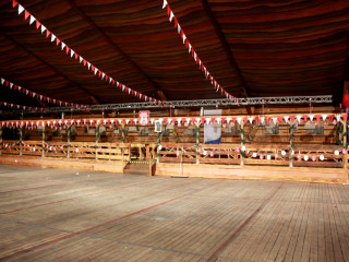 Foto 179455 im Album