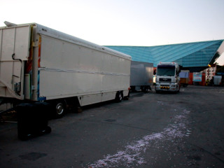 Foto 179598 im Album