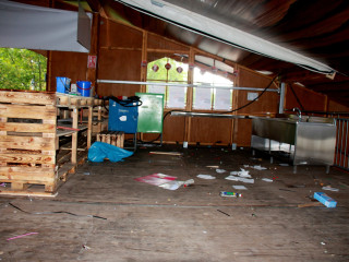 Foto 179623 im Album