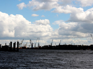 Foto 179698 im Album
