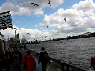 Foto 179699 im Album