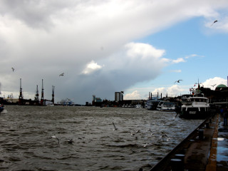 Foto 179707 im Album