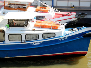 Foto 179745 im Album