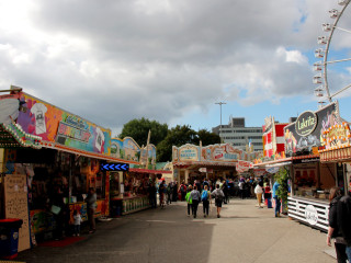 Foto 179755 im Album