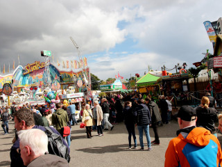 Foto 179763 im Album